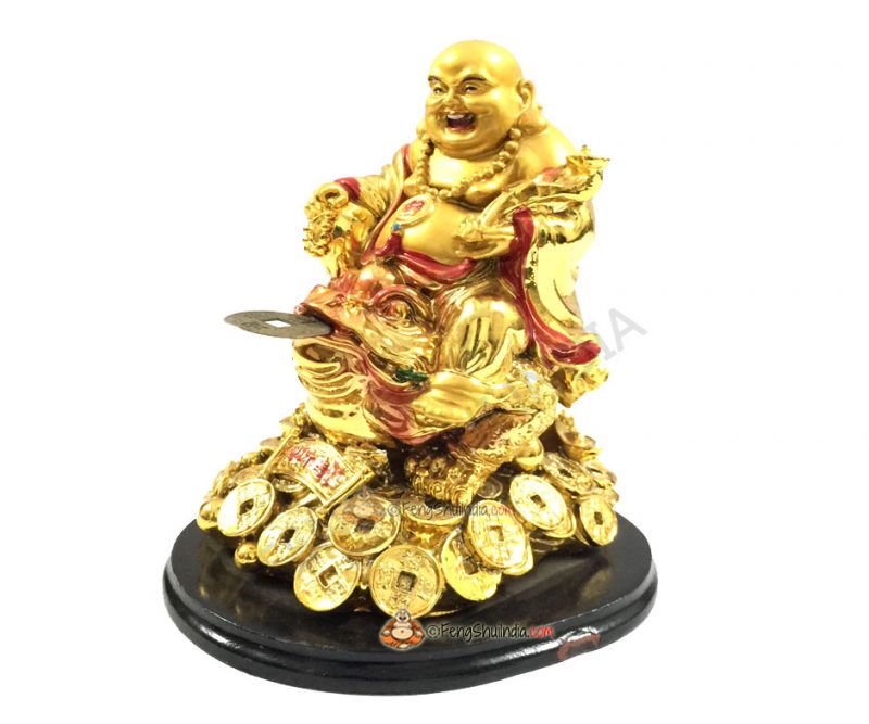 Laughing Buddha on 3 Legged Wealth Frog - Feng Shui India